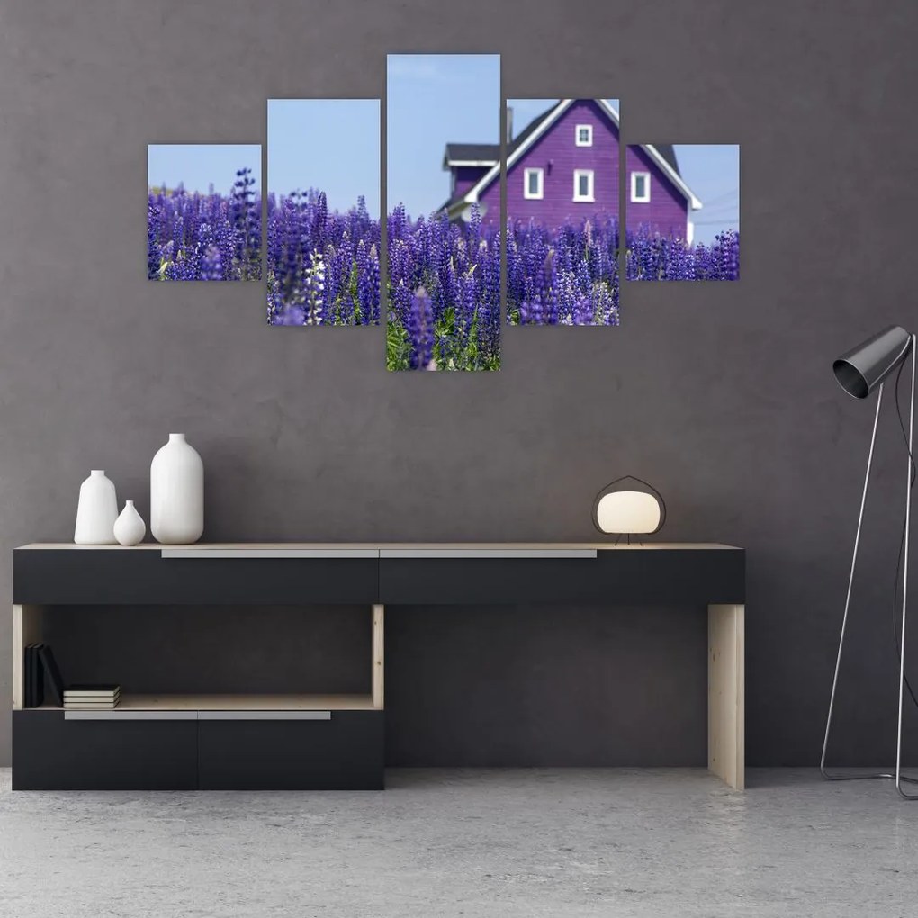 Tablou cu câmp de lavanda (125x70 cm), în 40 de alte dimensiuni noi