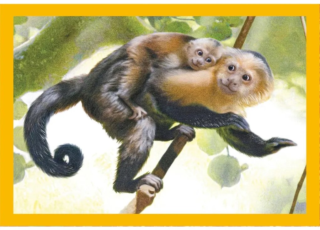 Animale Baby Cuddles Puzzle 4 în 1 Clementoni