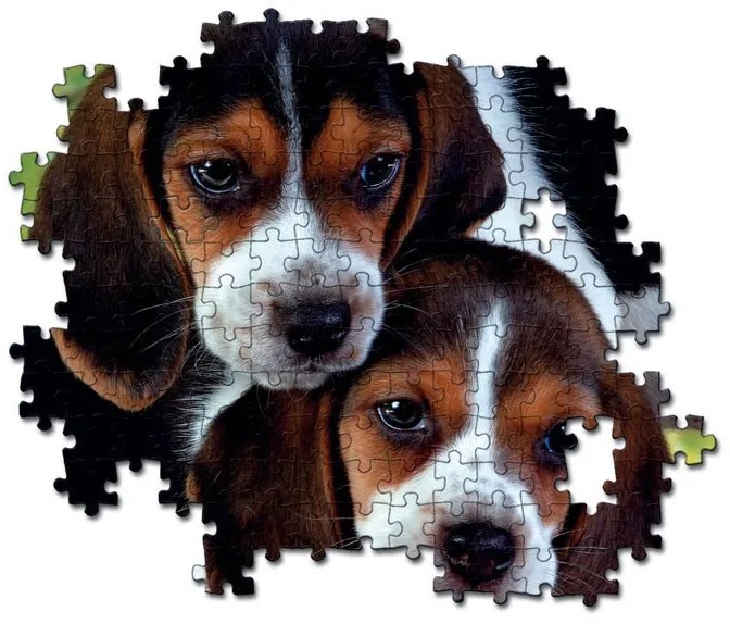 Animale Beagles Close Together Puzzle cu câini 500 de piese Clementoni