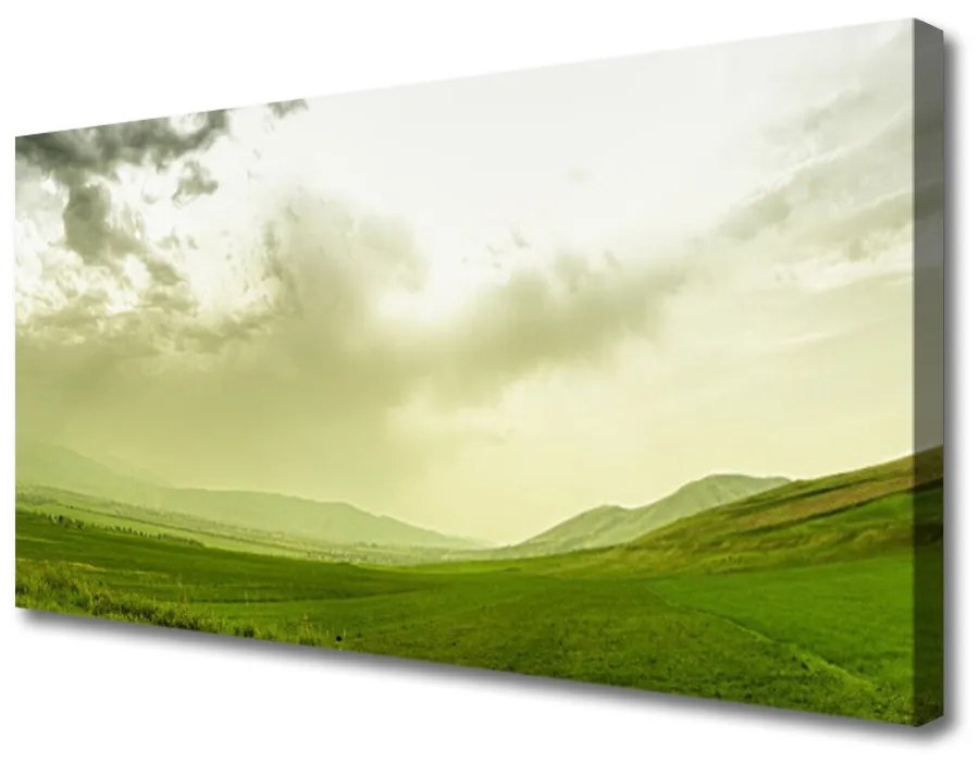 Tablou pe panza canvas Meadow Natura verde