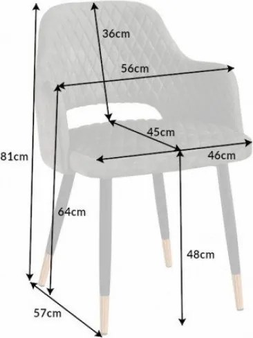 Set de 2 scaune elegante Paris verde-gri