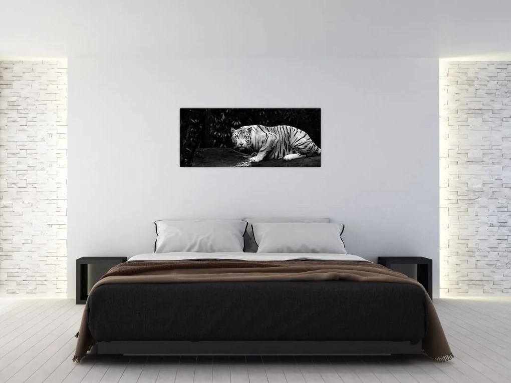 Tablou - Tigru alb, alb-negru (120x50 cm)