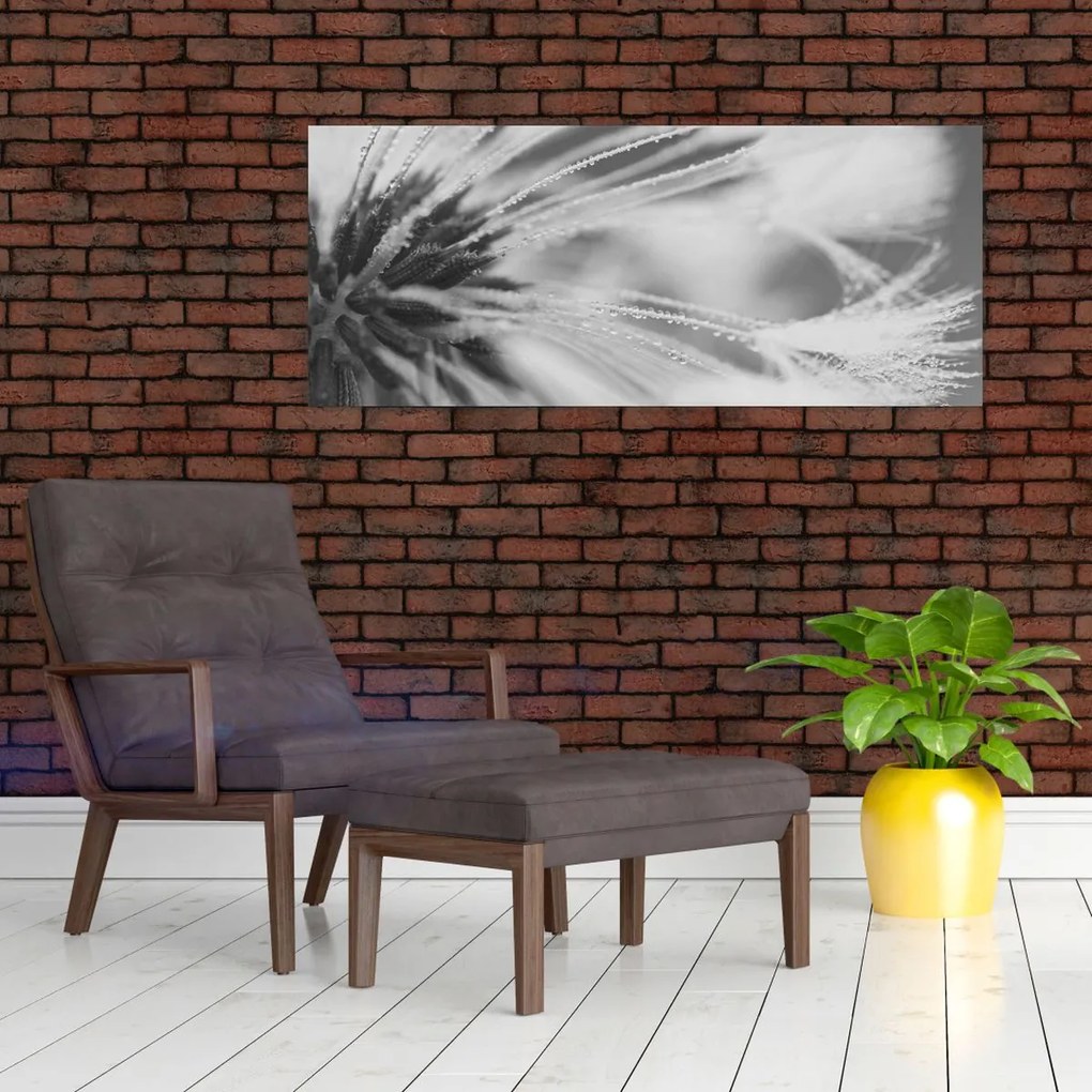 Tablou - Păpădie (120x50 cm)
