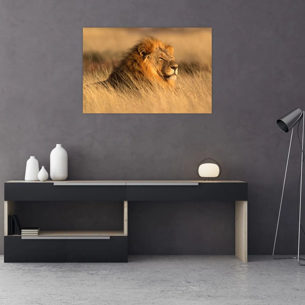 Tablou - Parcul Național Etosha (90x60 cm)