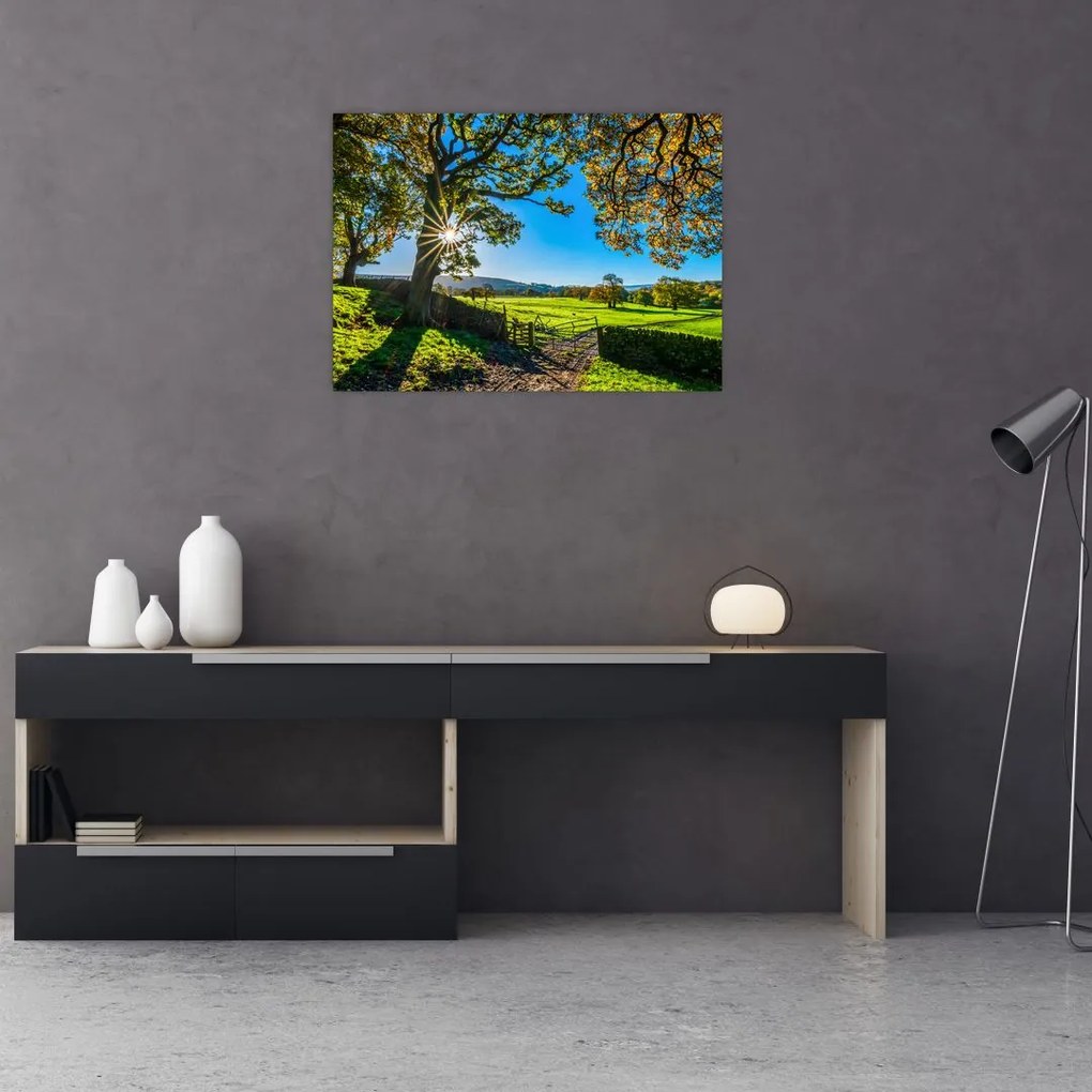 Tablou Privire la câmp (70x50 cm)