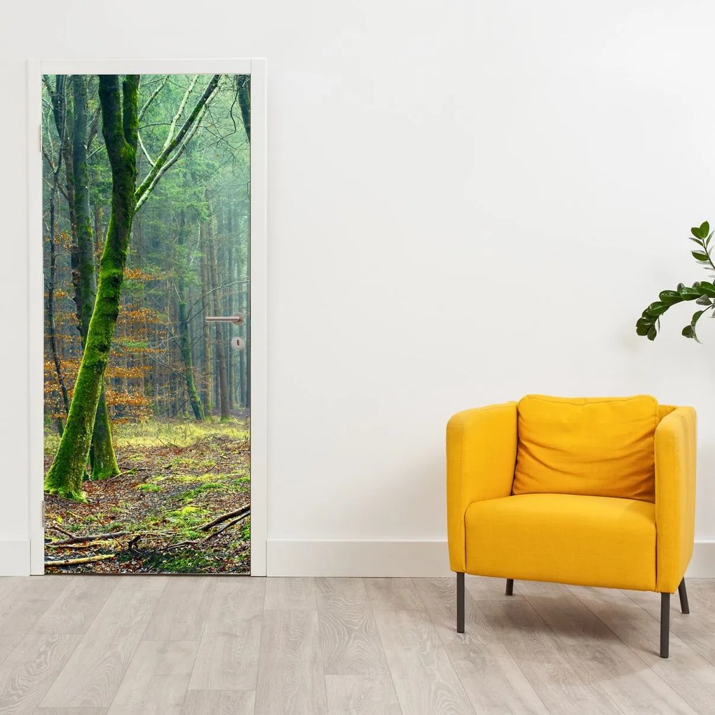 Fototapet pentru ușă - Pădurea (95x205cm)