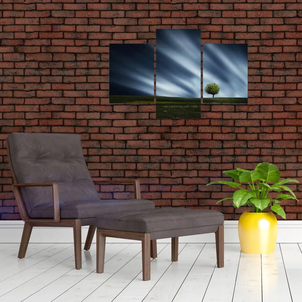 Tablou -Aurora boreală (90x60 cm)