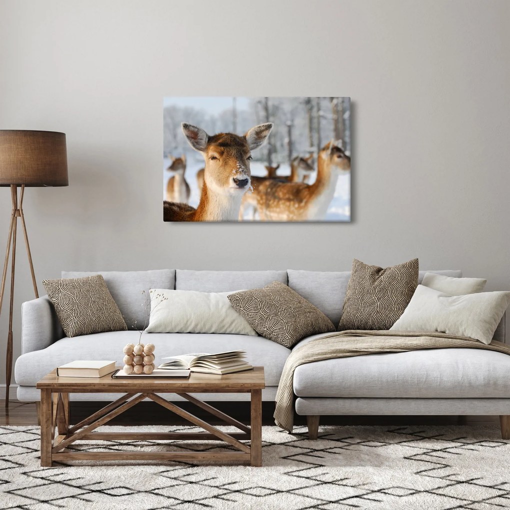 Tablou - Cerbi (90x60 cm)