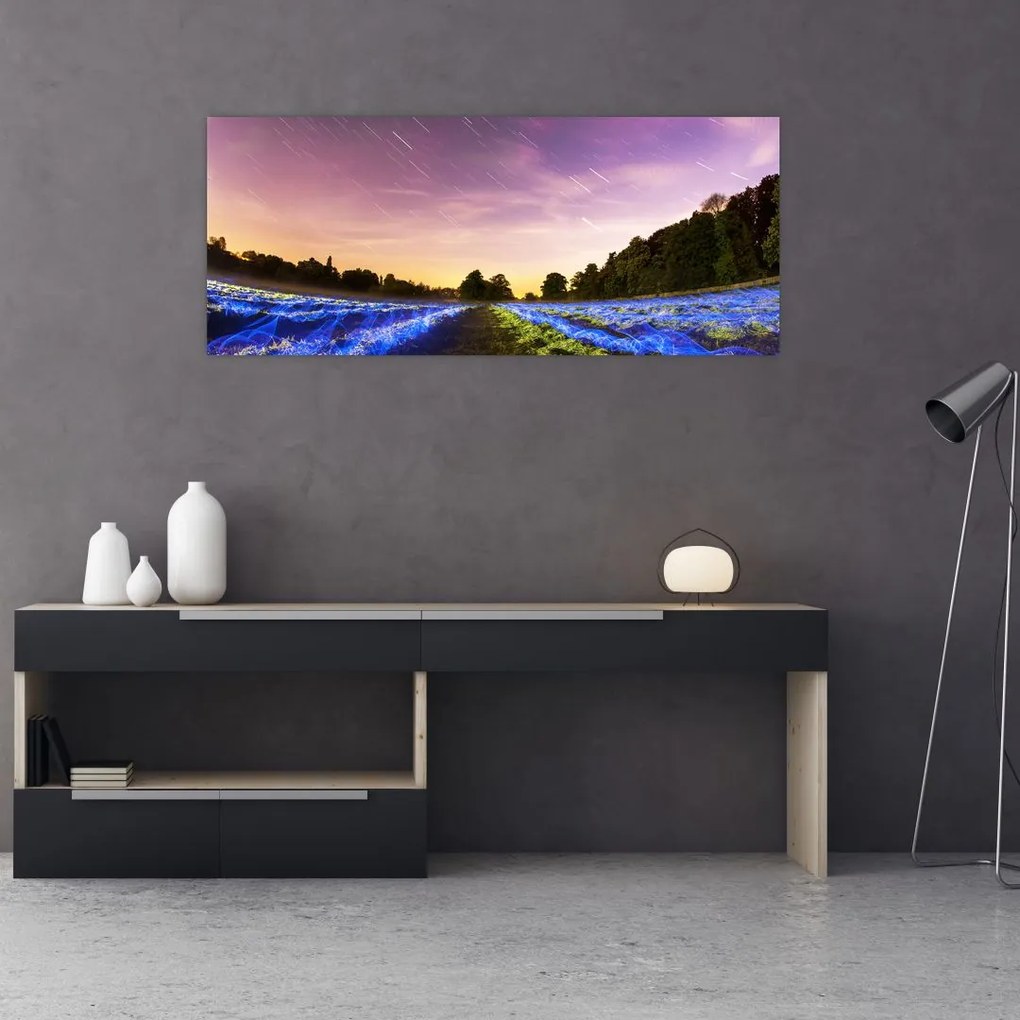 Tablou cu câmp colorat (120x50 cm)