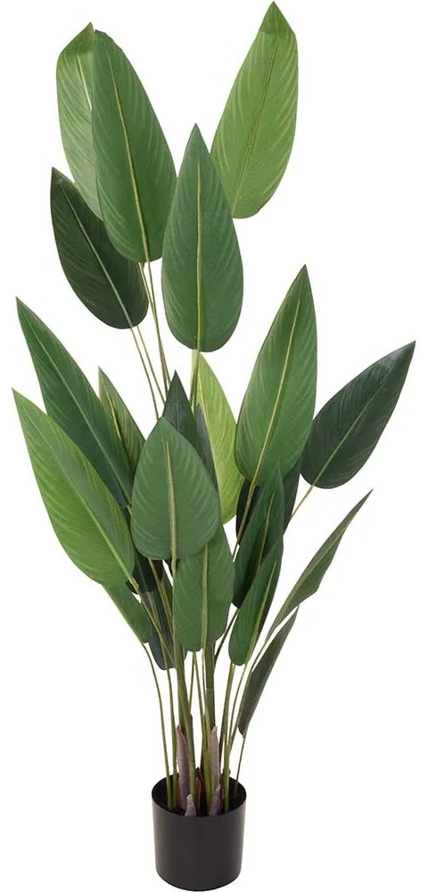 PLANTA DECOR PASAREA PARADISULUI, 25 FRUNZE, H 175 CM, VERDE