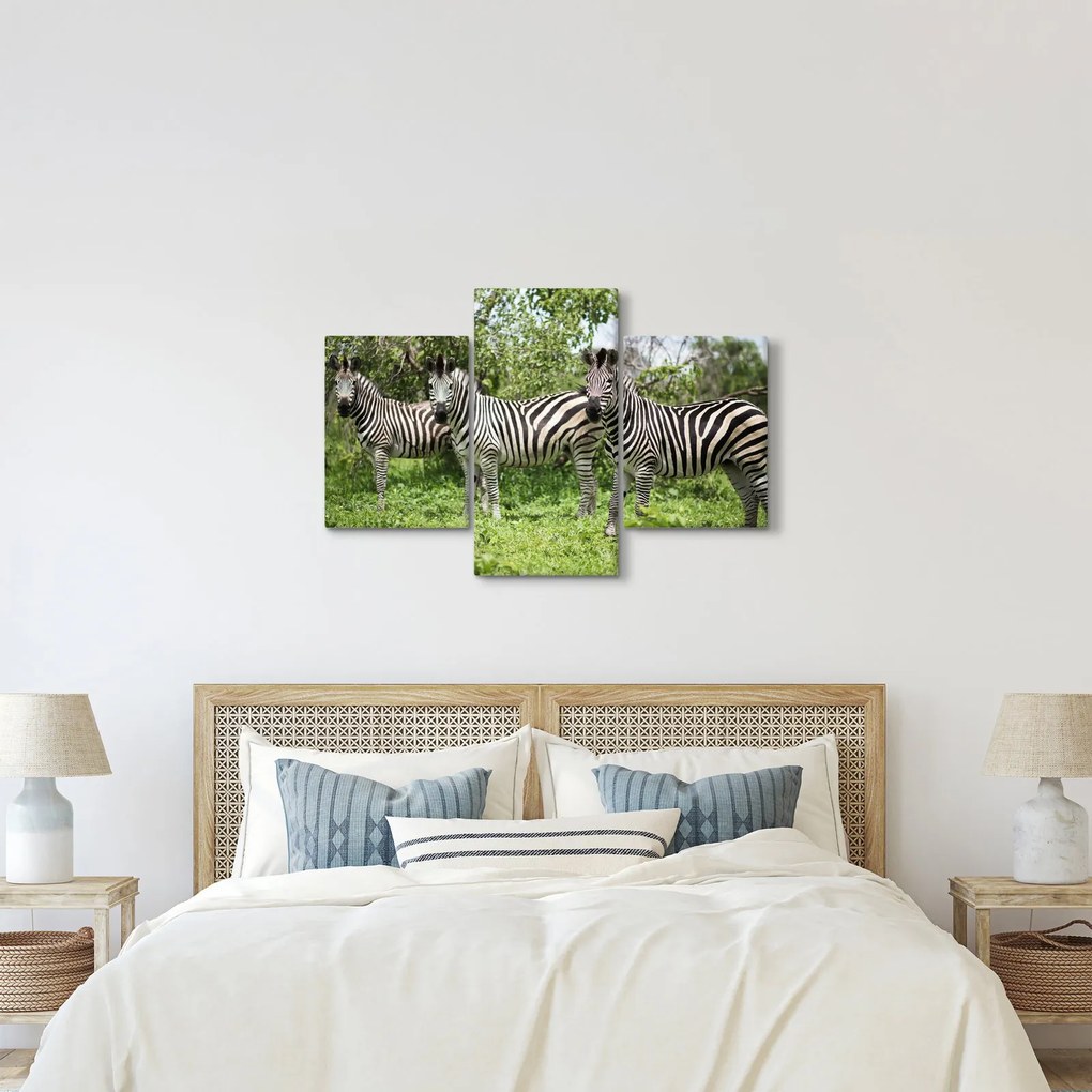 Tablou cu zebre (90x60 cm)