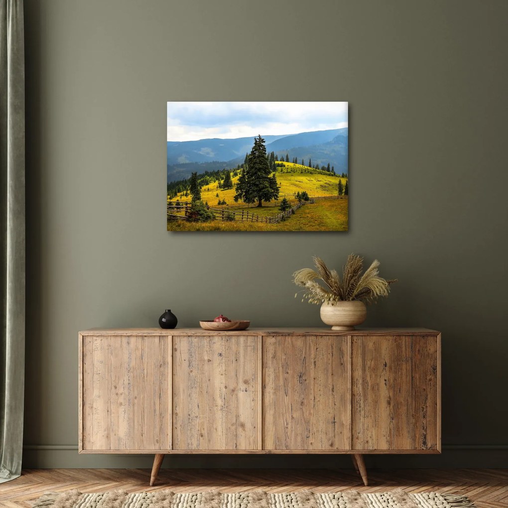 Tablou - Lunca de munte (70x50 cm)