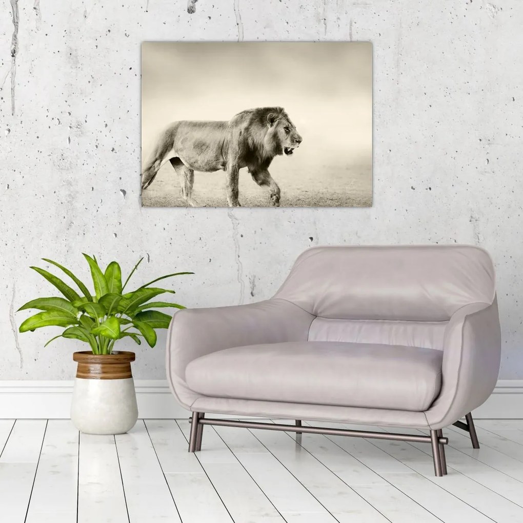 Tablou - Leul flămând (70x50 cm)