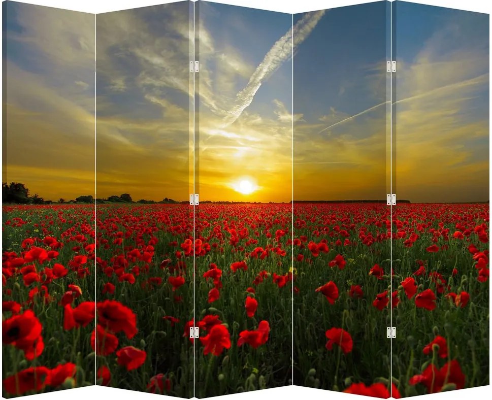 Paravan - Câmp cu maci (210x170 cm)
