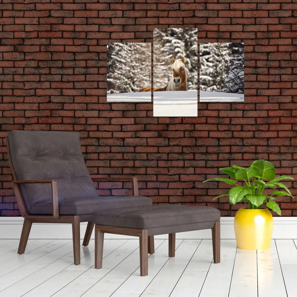 Tablou - Cal în peisaj de iarnă (90x60 cm)
