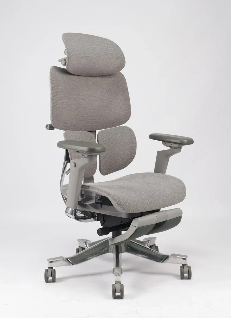 DeluxStar T2 ELITE PRO – Scaun Ergonomic Premium cu Suport Lombar Dual Dynamic 3D, Suspensie Air-Glide și Suport Complet Cervical – Spate – Lombar, Gri