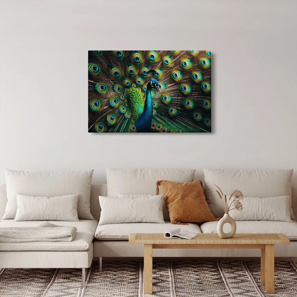 Tablou – Păun (90x60 cm)