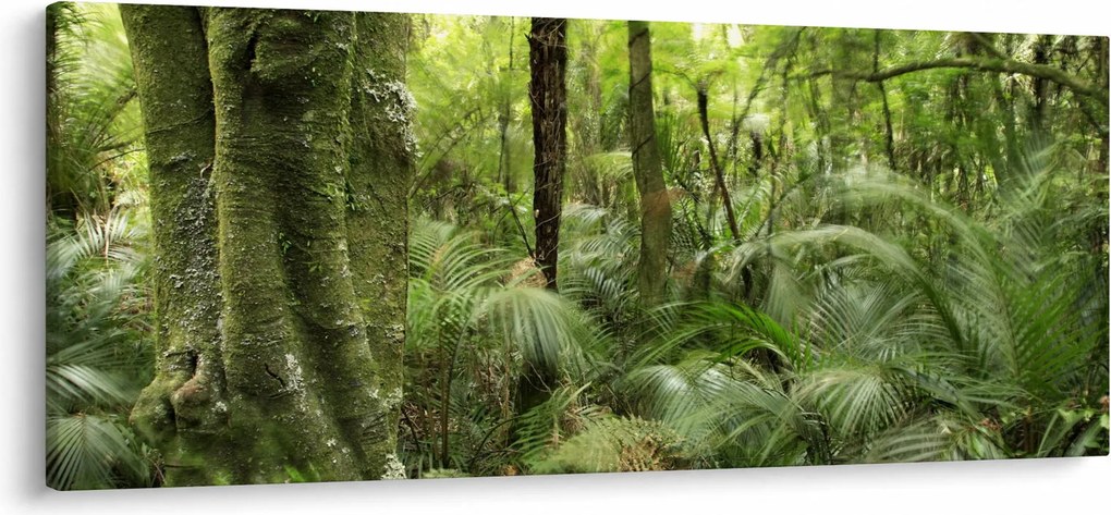 Tablou - Pădure tropicală (120x50 cm)