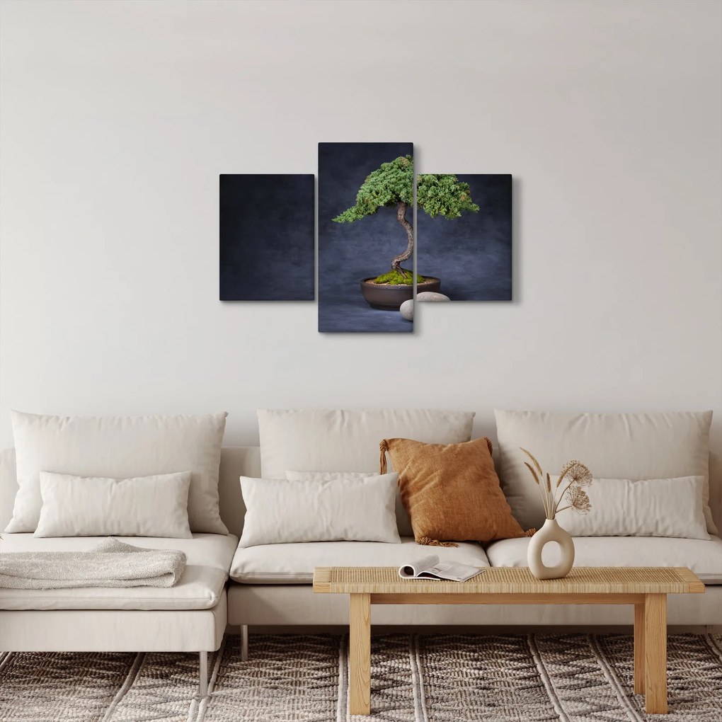 Tablou - Bonsai (90x60 cm)
