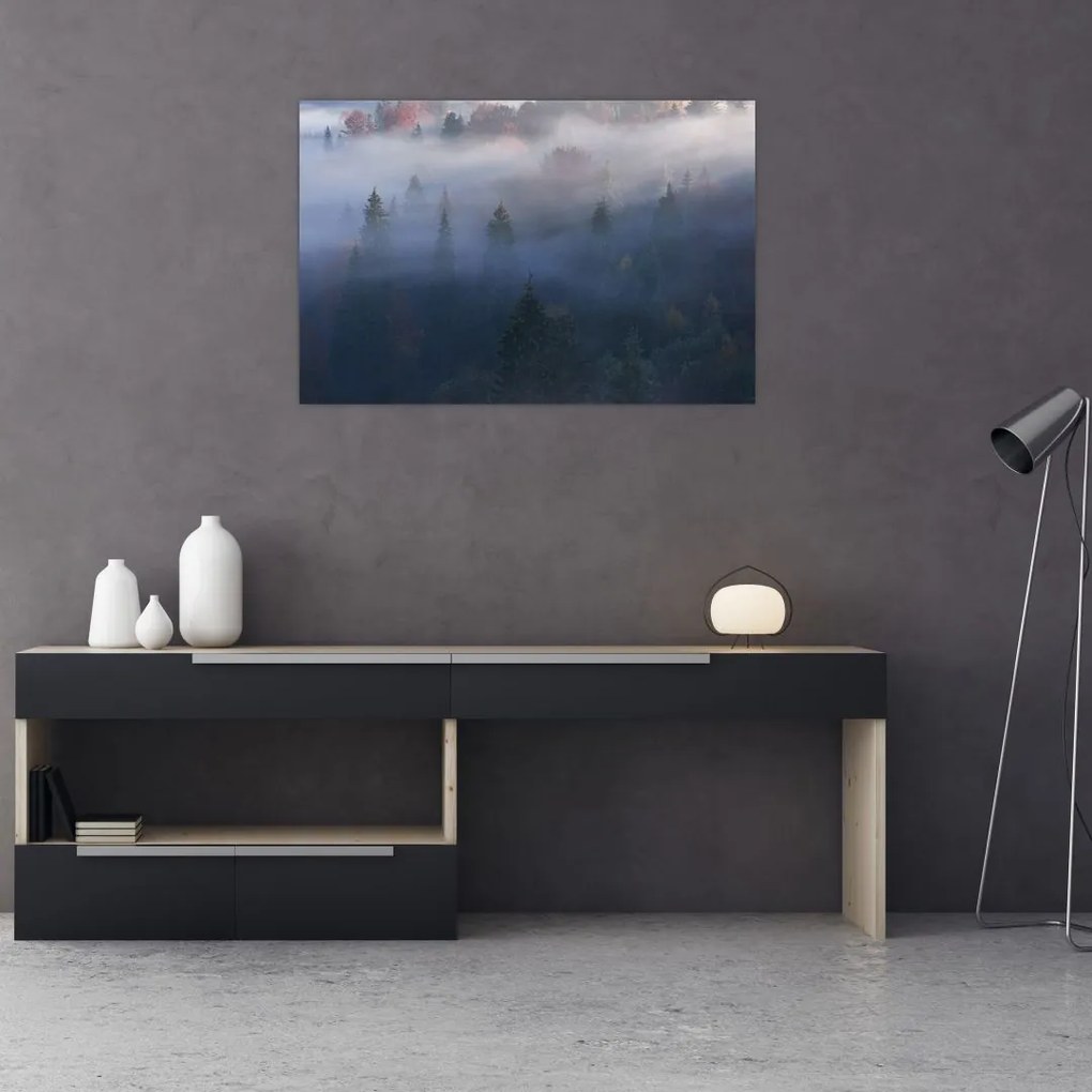 Tablou - Pădure în ceță, Carpați, Ucraina (90x60 cm)