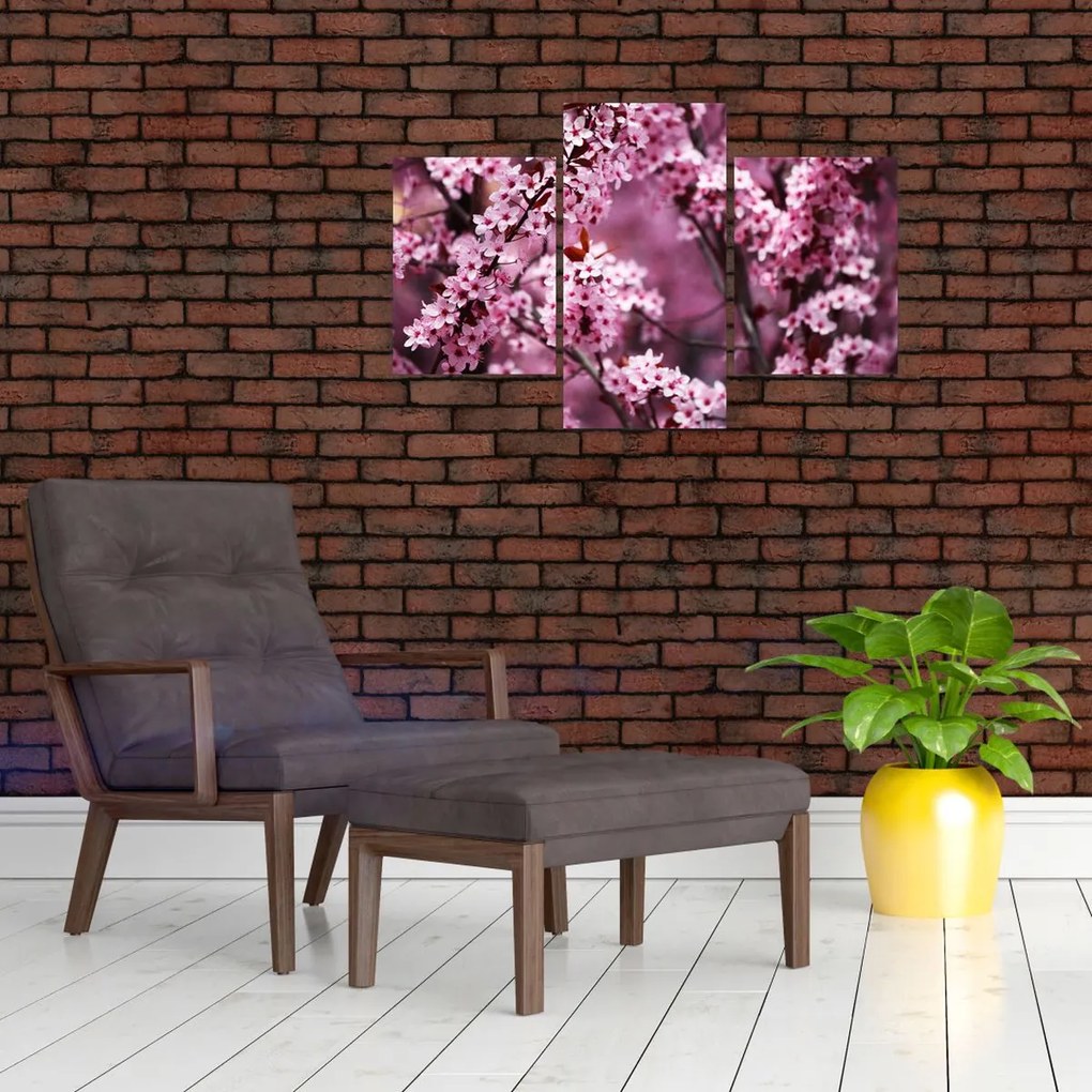Tablou - Sakura roz (90x60 cm)