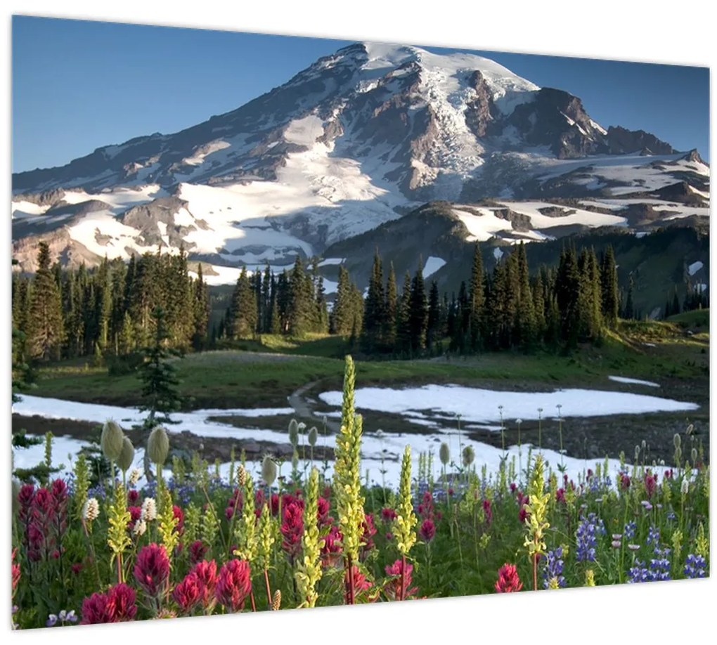 Tablou - Muntele Rainier (70x50 cm)