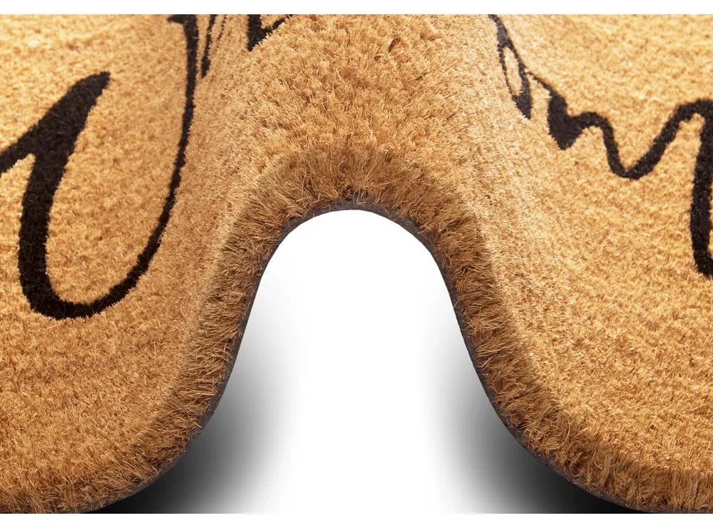 Covoraș de intrare din fibre de cocos 75x45 cm Welcome - Hanse Home