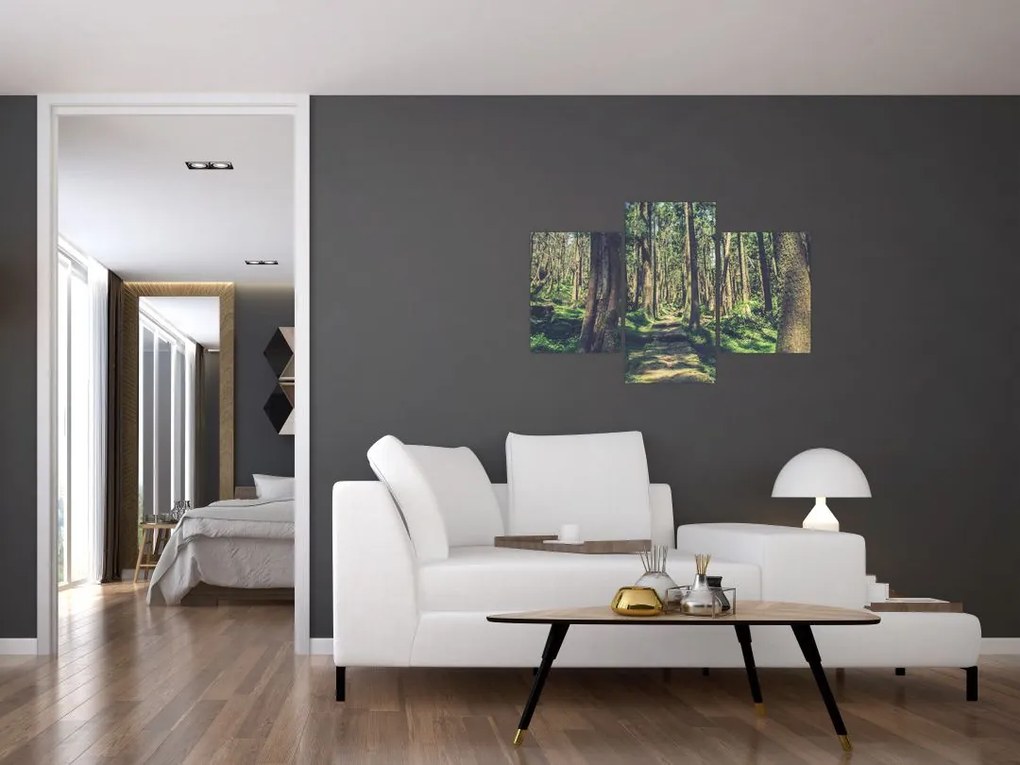 Tablou cu drum între copaci (90x60 cm)