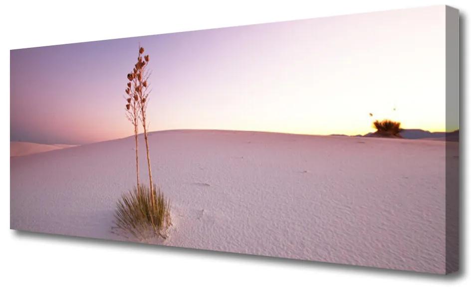 Tablou pe panza canvas Desert Peisaj Brown