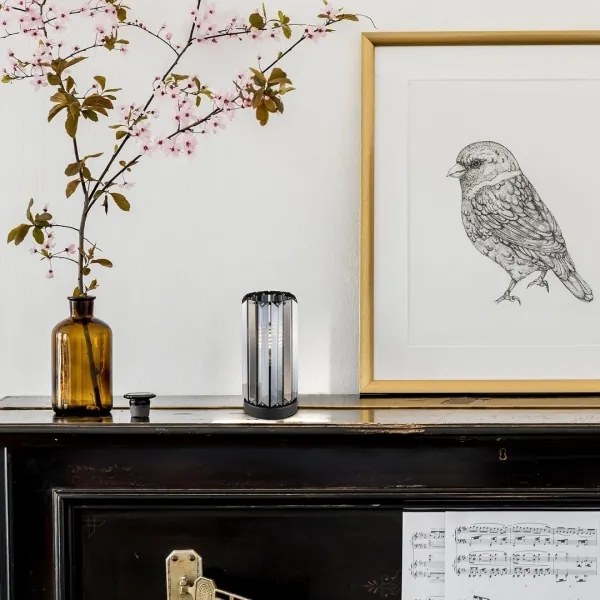 Lampă de masă Rabalux 74206 VENESS 1xE27/40W/230V