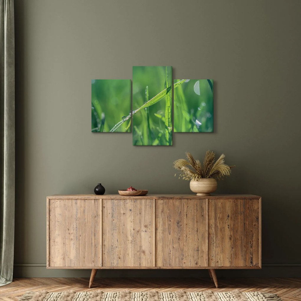Tablou cu picături de rouă (90x60 cm)