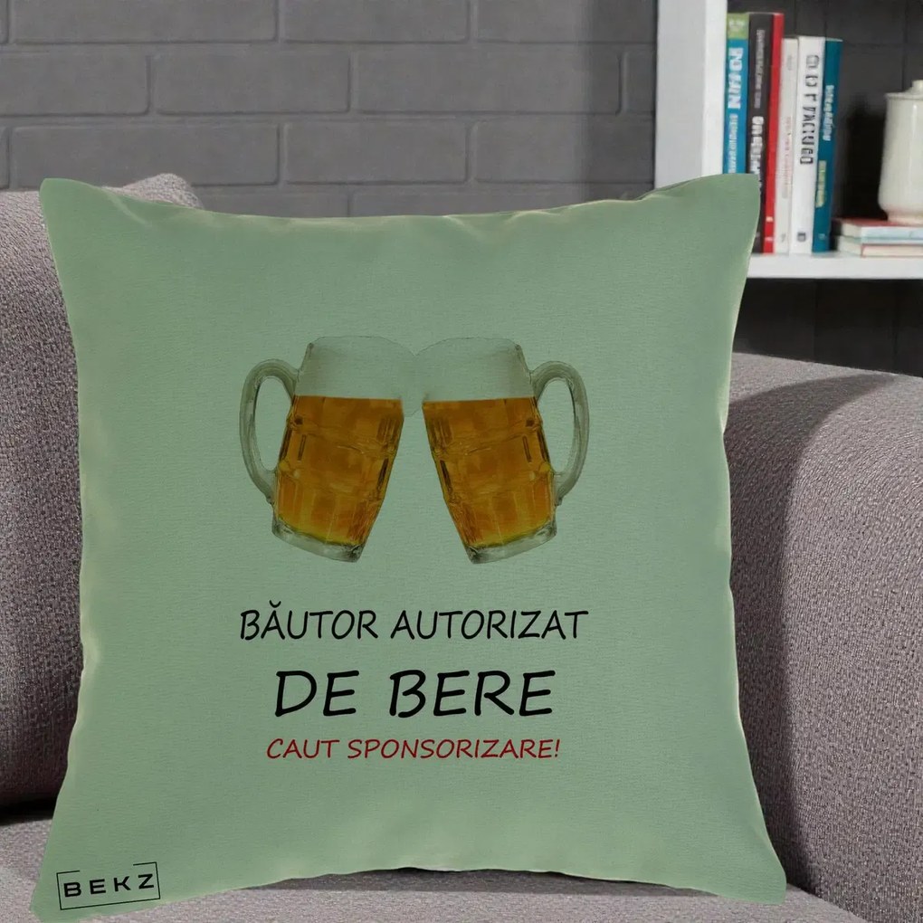 Perna Decorativa Bautor Autorizat de Bere, 40x40 cm, Verde, Husa Detasabila, Perna Inclusa, BEKZ®