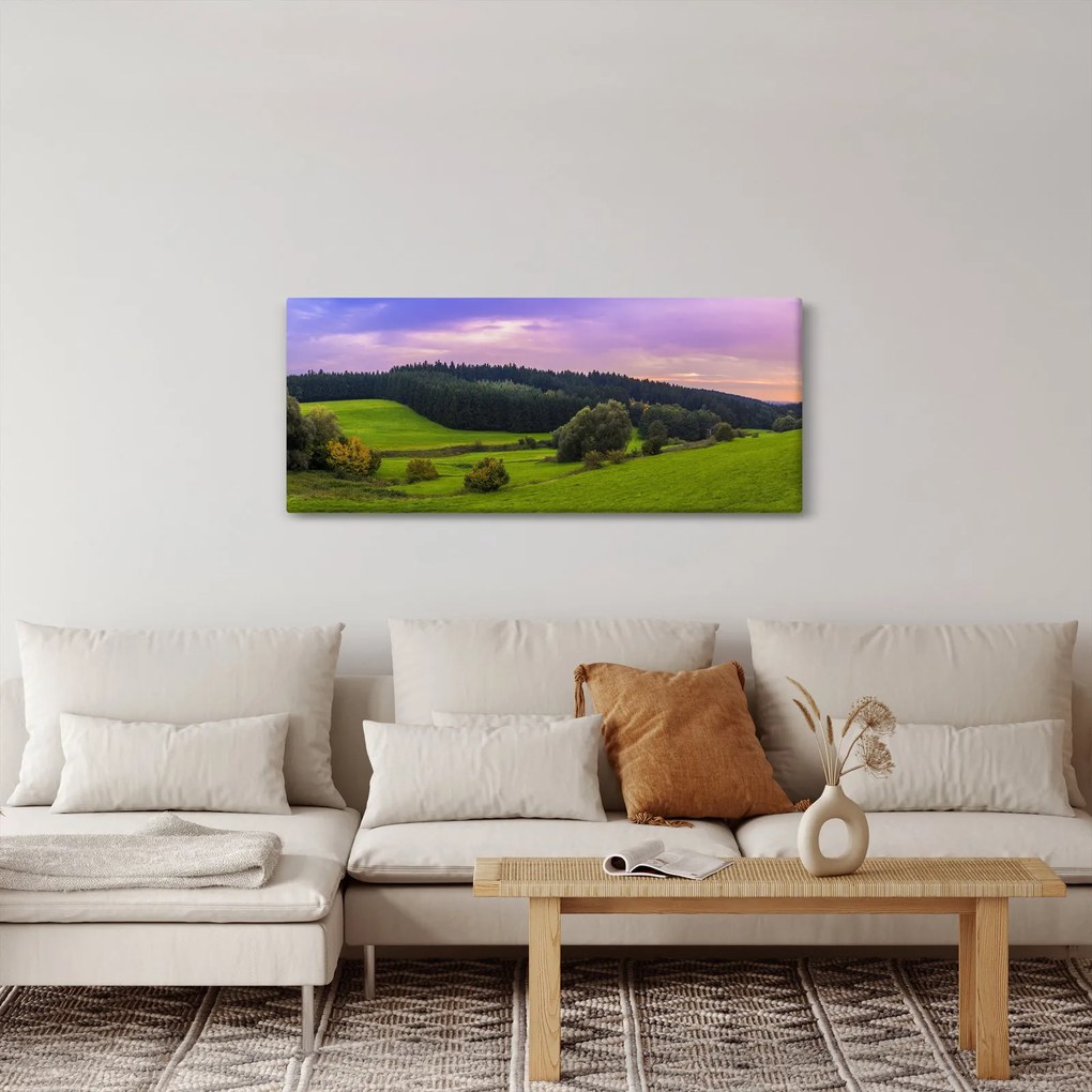 Tablou cu lunca (120x50 cm)