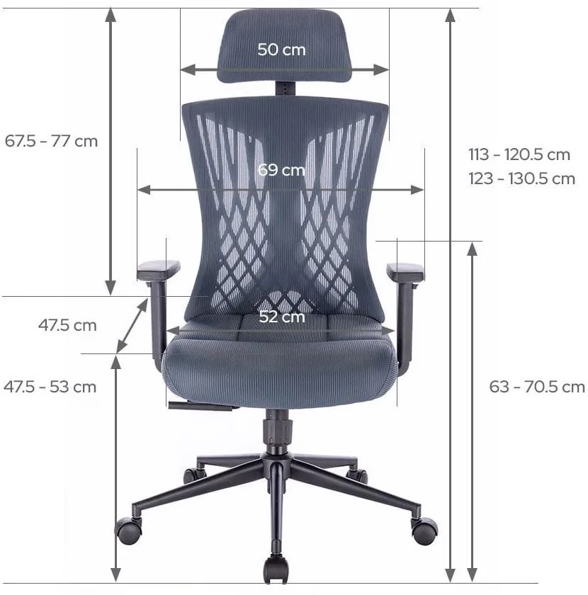 Ergomax ergonomic birou scaun pivotant gri-albastru