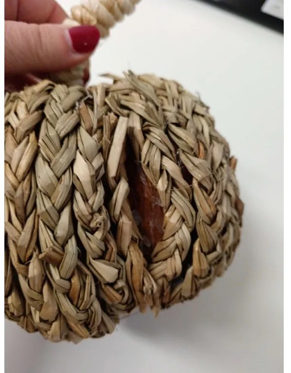 OFERTA Decoratiune dovleac PUMPKIN COACH GRASS II.calitate