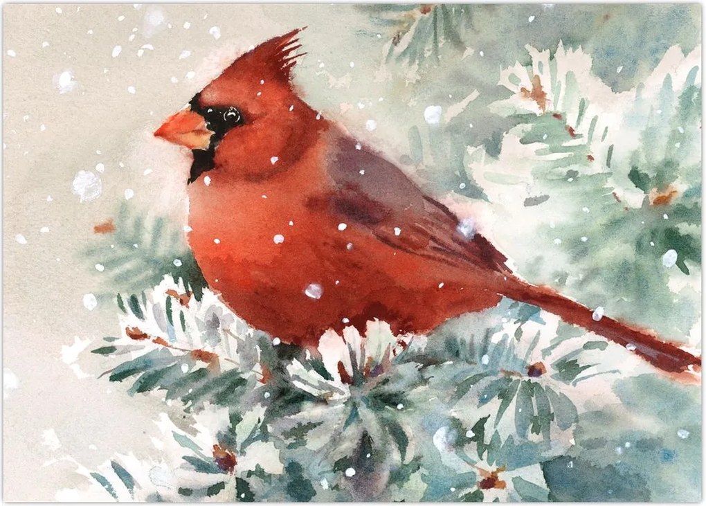 Tablou - Cardinal (70x50 cm)