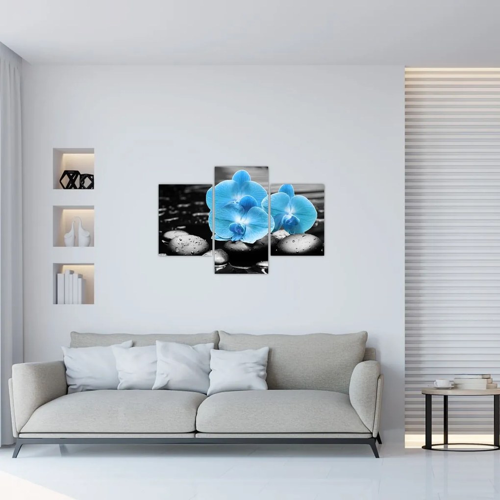 Tablou - Orhidee albastră (90x60 cm)