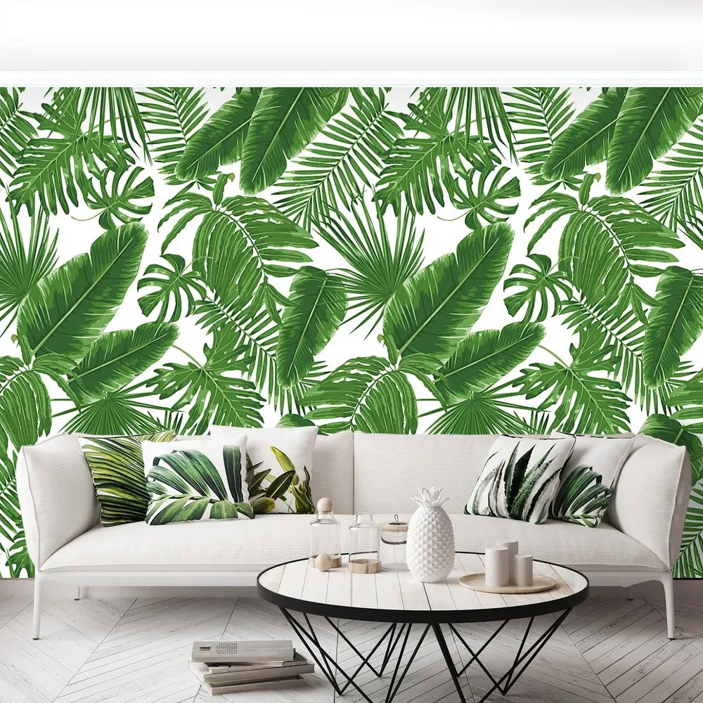 Fototapet Frunze tropicale