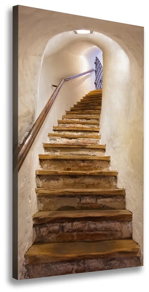 Tablouri tipărite pe pânză Scari in castel