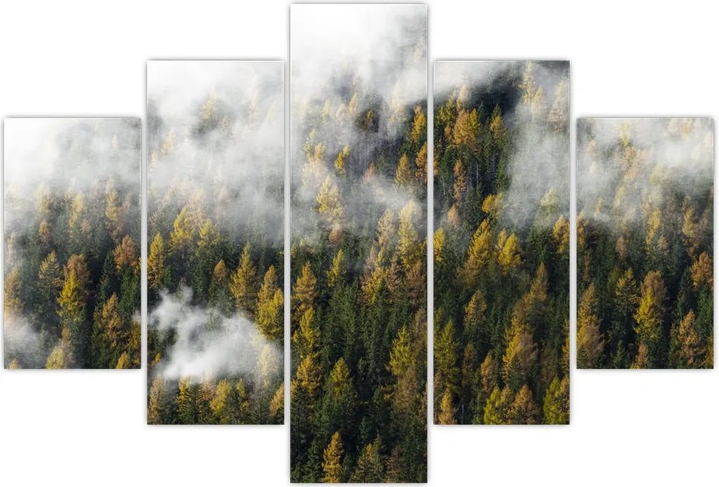 Tablou - Pădure în nori (150x105 cm)