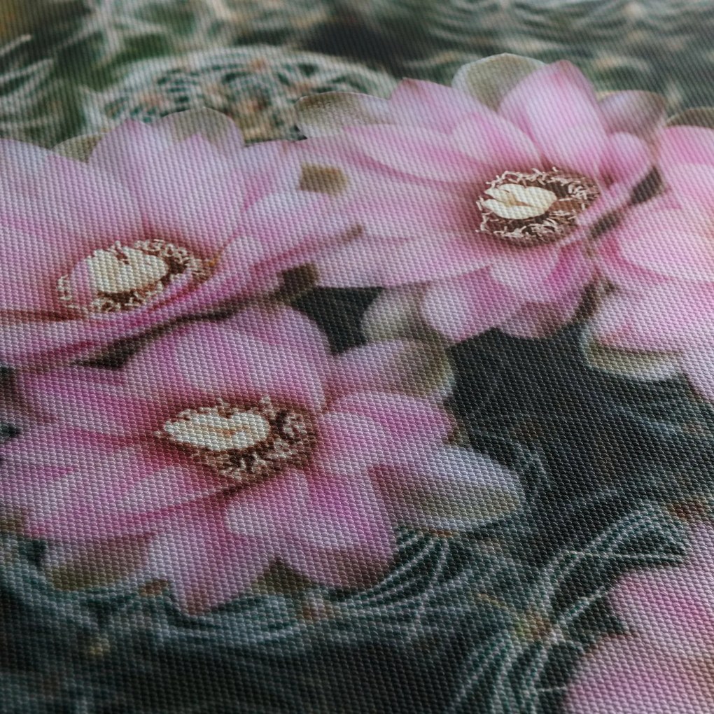 Tablou floare de cactus (150x105 cm)