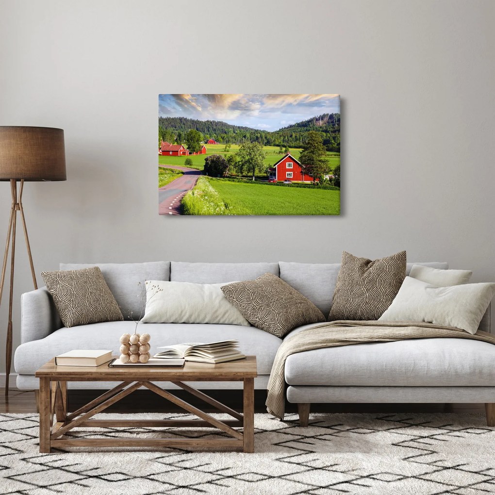 Tabloul cu țară (90x60 cm)