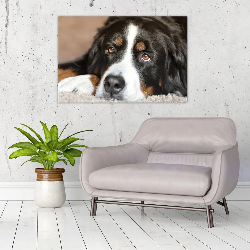 Tablou cu câine (90x60 cm)
