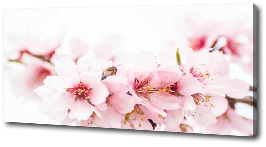 Pictură pe pânză Flori de cireș