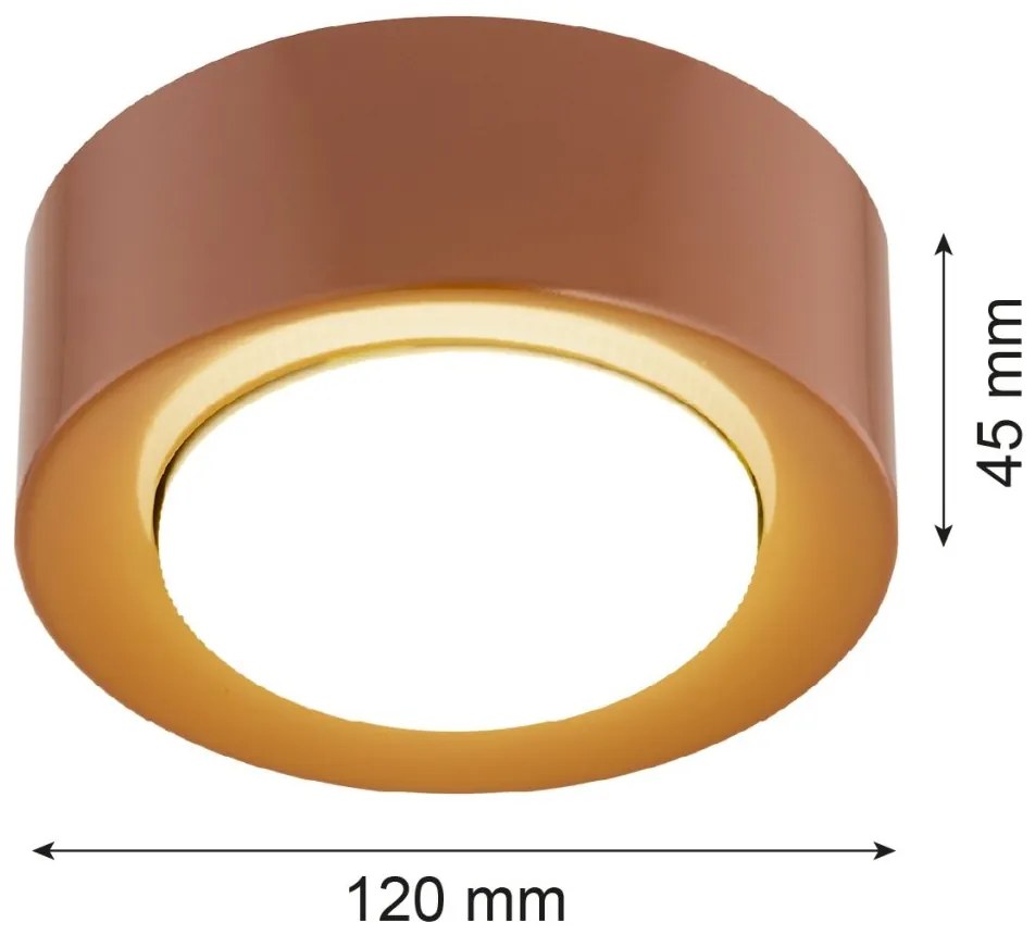 Spot tavan, Mini plafoniera ELORA 8916 teracota