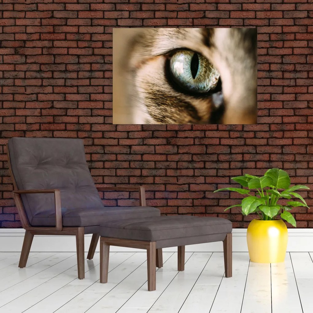 Tablou - Ochi de pisică (90x60 cm)