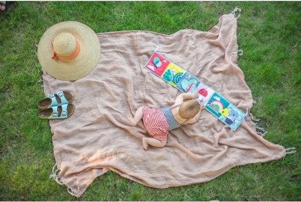 Carte textilă pentru copii 3 în 1 koala Taf Toys