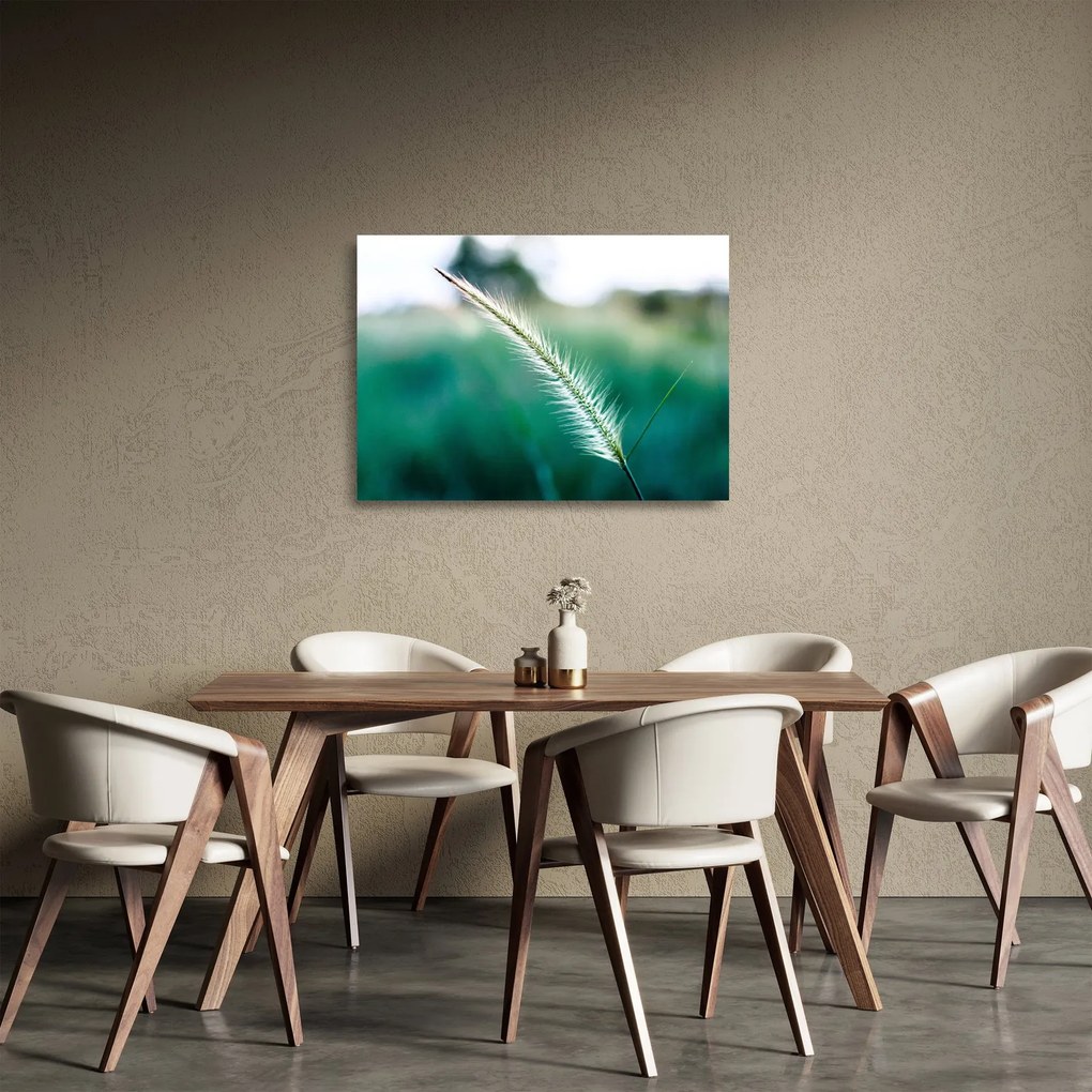 Tablou pe sticlă cu fir de iarbă (70x50 cm)