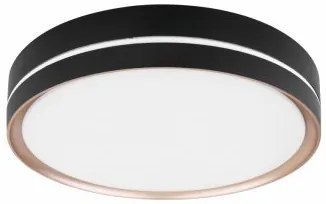 Plafoniera moderna led 24W Manni 41759-24 Globo