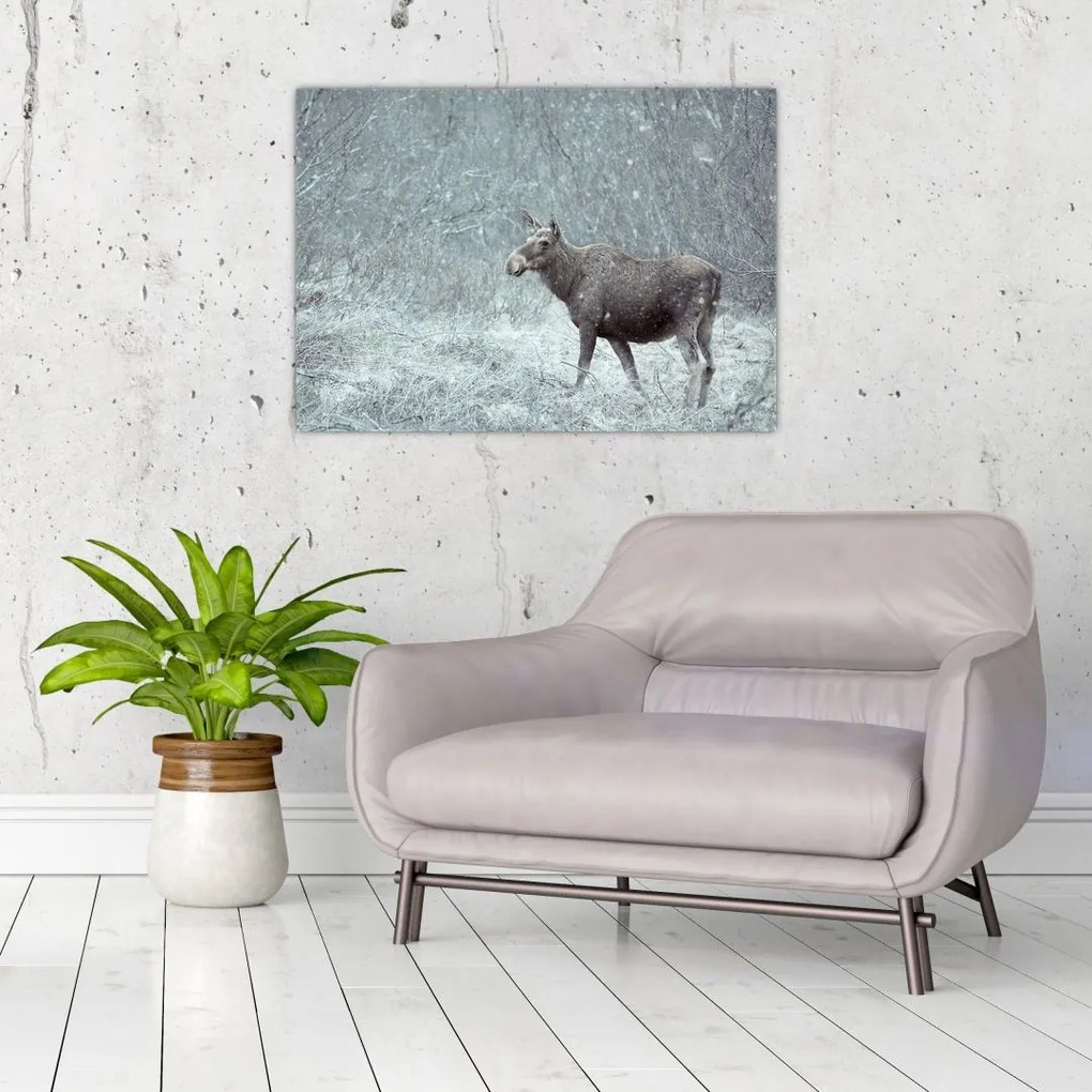 Tablou pe sticlă - Elan într-o pădure înzăpezită (70x50 cm)